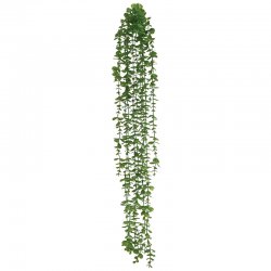 ΡΙΖΑ ΚΡΕΜΑΣΤΗ ΙΤΙΑ ΠΡΑΣΙΝΟ - Υ105cm 36/144ΚΙΒ