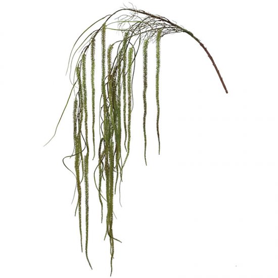 ΡΙΖΑ ΚΡΕΜΑΣΤΗ ΧΑΠΕΡΖΙΑ ΛΑΧΑΝΙ - Υ162cm 36/144ΚΙΒ ΡΙΖΑ ΚΡΕΜΑΣΤΗ ΧΑΠΕΡΖΙΑ ΛΑΧΑΝΙ - Υ162cm 36/144ΚΙΒ