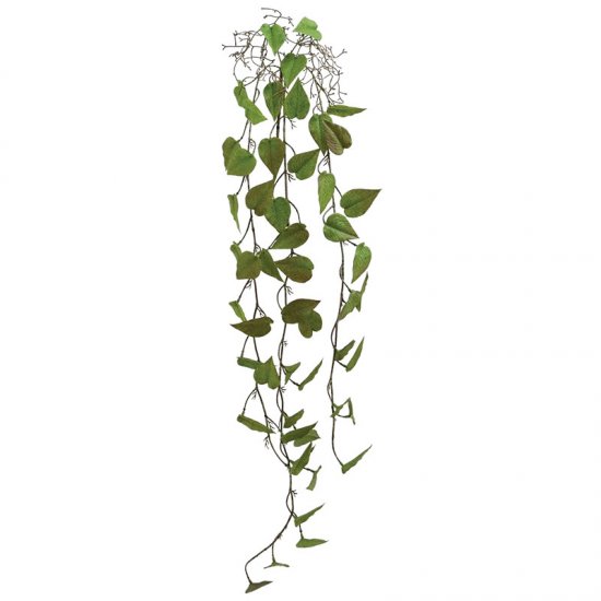 ΡΙΖΑ ΚΡΕΜΑΣΤΗ ΜΟΝΣΤΕΡΑ ΚΑΦΕ/ΠΡΑΣΙΝΟ - Y125cm 36/14