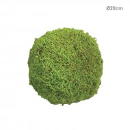 ΜΠΑΛΑ ΠΥΞΑΡΙ ΒΡΥΑΣ ΠΡΑΣΙΝΗ ΜΙΚΡΗ - Φ20cm 8/KIB