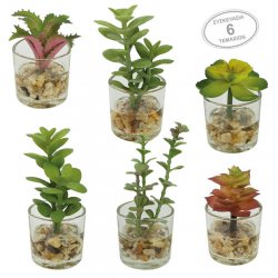 MINI ΚΑΚΤΑΚΙΑ MIX ΣΕ ΓΥΑΛΙΝΟ ΚΑΣΠΩ ΣΕΤ/6 - 5x12cm 