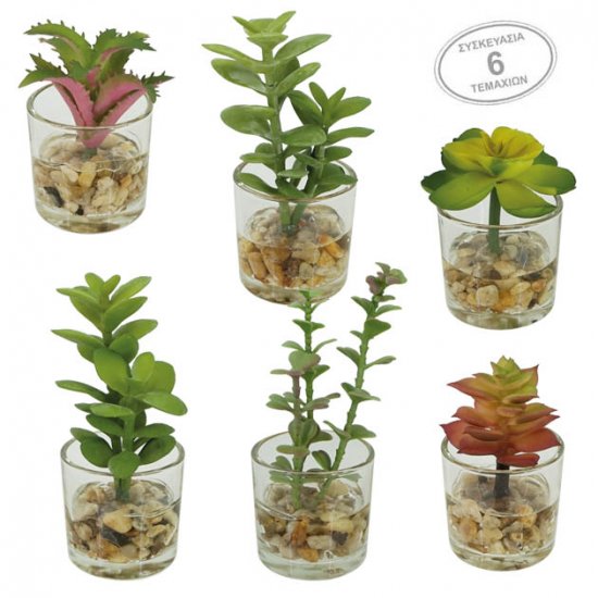 MINI ΚΑΚΤΑΚΙΑ MIX ΣΕ ΓΥΑΛΙΝΟ ΚΑΣΠΩ ΣΕΤ/6 - 5x12cm MINI ΚΑΚΤΑΚΙΑ MIX ΣΕ ΓΥΑΛΙΝΟ ΚΑΣΠΩ ΣΕΤ/6 - 5x12cm