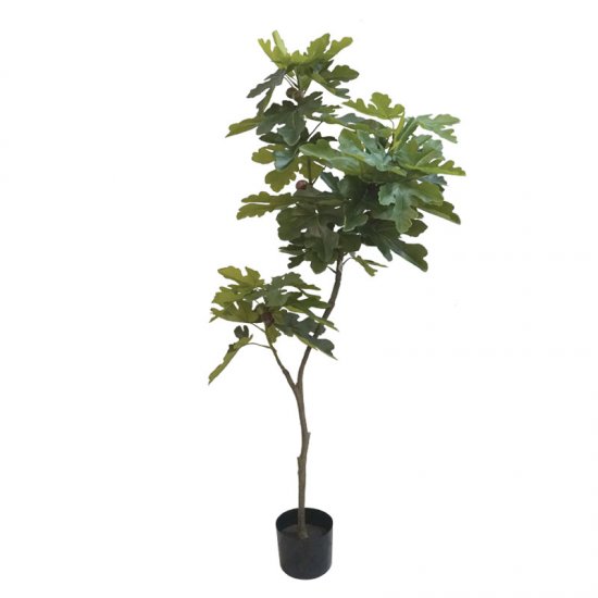 ΔΕΝΤΡΟ ΣΥΚΙΑ ΠΡΑΣΙΝΟ REAL TOUCH ΣΕ ΚΑΣΠΩ - Υ195cm 