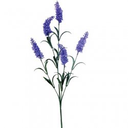 ΚΛΑΔΙ ΛΕΒΑΝΤΑ ΜΠΛΕ/ΜΩΒ Y70cm. 48/576KIB