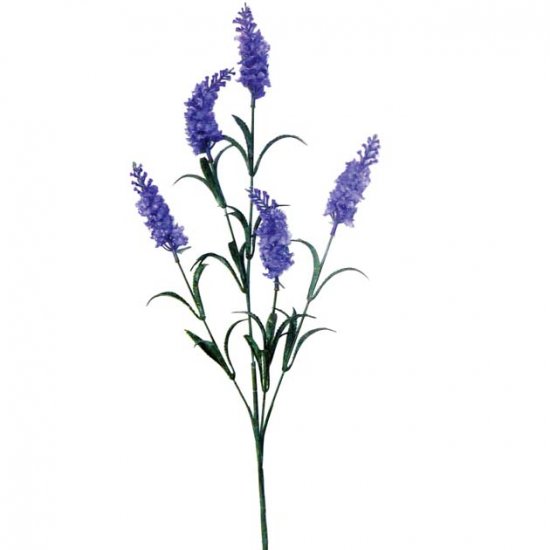 ΚΛΑΔΙ ΛΕΒΑΝΤΑ ΜΠΛΕ/ΜΩΒ Y70cm. 48/576KIB ΚΛΑΔΙ ΛΕΒΑΝΤΑ ΜΠΛΕ/ΜΩΒ Y70cm. 48/576KIB