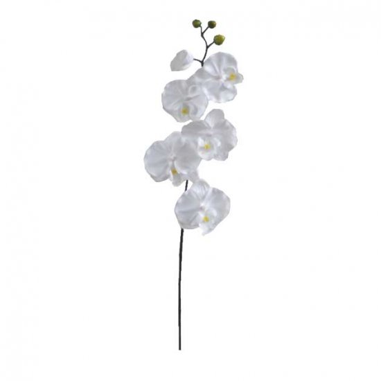 ΚΛΑΔΙ ΟΡΧΙΔΕΑ ΛΕΥΚΟ Y72cm. 36/432ΚΙΒ ΚΛΑΔΙ ΟΡΧΙΔΕΑ ΛΕΥΚΟ Y72cm. 36/432ΚΙΒ