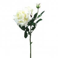 ΚΛΑΔΙ ΤΡΙΑΝΤΑΦΥΛΛΟ ΛΕΥΚΟ ΒΕΛΟΥΔΟ MONO Y67cm. 12/14