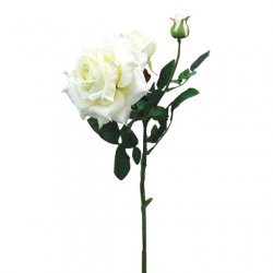 ΚΛΑΔΙ ΤΡΙΑΝΤΑΦΥΛΛΟ ΛΕΥΚΟ ΒΕΛΟΥΔΟ MONO Y67cm. 12/14