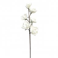 FOAM ΛΕΥΚΟ ΟΡΧΙΔΕΑ Y79cm. 6/60ΚΙΒ
