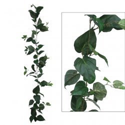 ΓΙΡΛΑΝΤΑ ΠΟΘΟΣ ΠΡΑΣΙΝΟ (122 ΦΥΛΛΑ) Y180cm. 12/72ΚΙ