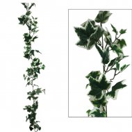 ΓIΡΛΑΝΤΑ ΚΙΣΣΟΣ ΔΙΧΡΩΜΟΣ (122 ΦΥΛΛΑ) Y180cm. 12/72