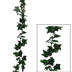 ΓIΡΛΑΝΤΑ ΚΙΣΣΟΣ ΠΡΑΣΙΝΟΣ (122 ΦΥΛΛΑ) Y180cm. 12/72