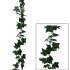 ΓIΡΛΑΝΤΑ ΚΙΣΣΟΣ ΠΡΑΣΙΝΟΣ (122 ΦΥΛΛΑ) Y180cm. 12/72