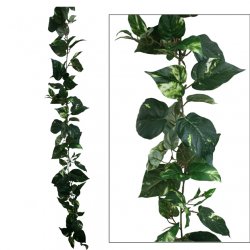 ΓΙΡΛΑΝΤΑ ΠΟΘΟΣ ΔΙΧΡΩΜΟΣ (122 ΦΥΛΛΑ) Y180cm. 12/72Κ