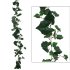 ΓIΡΛΑΝΤΑ ΑΜΠΕΛΙ ΠΡΑΣΙΝΟ (122 ΦΥΛΛΑ) Y180cm. 12/72Κ