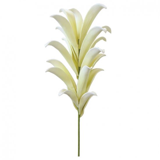 FOAM ΦΥΛΛΟ ΕΚΡΟΥ Υ116cm. 8/64ΚΙΒ FOAM ΦΥΛΛΟ ΕΚΡΟΥ Υ116cm. 8/64ΚΙΒ