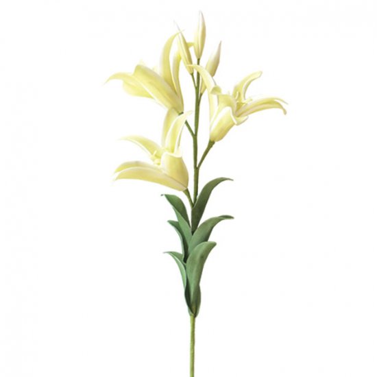 FOAM ΕΚΡΟΥ ΛΙΛΙΟΥΜ Y97cm. 12/120ΚΙΒ FOAM ΕΚΡΟΥ ΛΙΛΙΟΥΜ Y97cm. 12/120ΚΙΒ