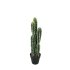 ΚΑΚΤΟΣ-ΑΓΙΟΣ ΠΕΤΡΟΣ ΣΕ ΓΛΑΣΤΡΑ - Υ58cm 4/ΚΙΒ