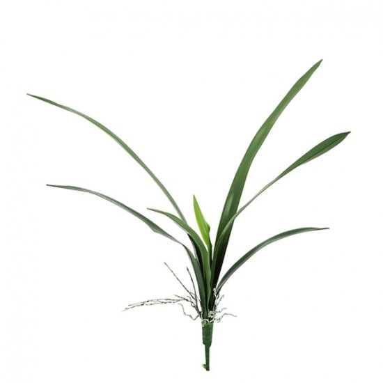 ΦΥΛΛΟ ΟΡΧΙΔΕΑΣ FABERI Y62cm 90/180ΚΙΒ ΦΥΛΛΟ ΟΡΧΙΔΕΑΣ FABERI Y62cm 90/180ΚΙΒ