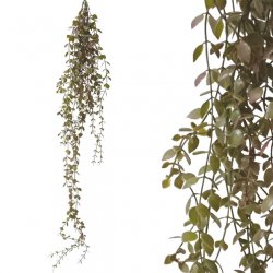 ΡΙΖΑ ΚΡΕΜΑΣΤΗ ΠΡΑΣΙΝΟ ΓΚΡΑΣ ΔΙΧΡΩΜΟ Υ90-102cm 48/1