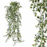 ΡΙΖΑ ΚΡΕΜΑΣΤΗ ΑΝΘΑΚΙ ΜΙΚΡΟ ΛΕΥΚΟ 30x70/80cm 36/108