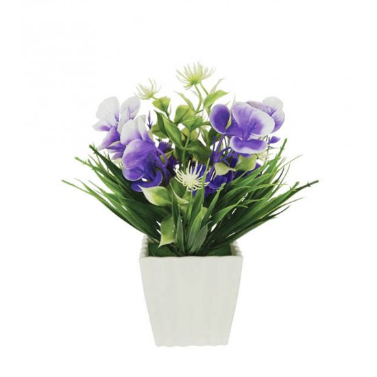 ΛΟΥΛΟΥΔΙ ΜΩΒ ΣΕ ΓΛΑΣΤΡΑΚΙ 8x21cm 1/120KIB ΛΟΥΛΟΥΔΙ ΜΩΒ ΣΕ ΓΛΑΣΤΡΑΚΙ 8x21cm 1/120KIB