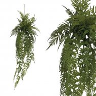 ΡΙΖΑ ΚΡΕΜΑΣΤΗ ΦΤΕΡΗ ΣΕ ΚΟΡΜΟ ΜΕ ΒΡΥΑ - Y142cm 24/K