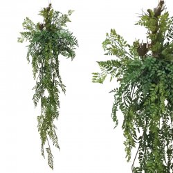 ΡΙΖΑ ΚΡΕΜΑΣΤΗ ΦΤΕΡΗ ΣΕ ΚΟΡΜΟ ΜΕ ΒΡΥΑ - Υ165cm 8/KI