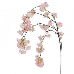 ΚΛΑΔΙ ΡΟΔΑΚΙΝΙΑΣ ΡΟΖ ΚΡΕΜΑΣΤΟ - Υ94/130cm 600/ΚΙΒ
