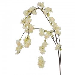 ΚΛΑΔΙ ΡΟΔΑΚΙΝΙΑΣ ΣΑΜΠΑΝΙ ΚΡΕΜΑΣΤΟ - Υ94/130cm 600/