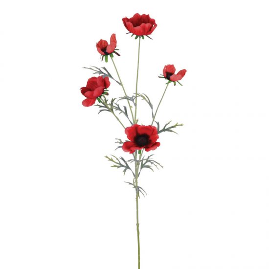 ΚΛΑΔΙ ΑΝΕΜΩΝΗ ΚΟΚΚΙΝΟ - Y80cm 24/120KIB ΚΛΑΔΙ ΑΝΕΜΩΝΗ ΚΟΚΚΙΝΟ - Y80cm 24/120KIB