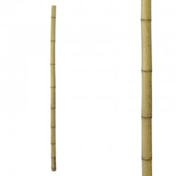 ΦΥΣΙΚΟ ΚΑΛΑΜΙ ΜΠΑΜΠΟΥ ΦΥΣΙΚΟ - Φ4/5x180cm 1/50KIB