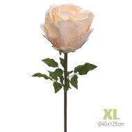 ΚΛΑΔΙ ΤΡΙΑΝΤΑΦΥΛΛΟ ΣΟΜΟΝ ΓΙΓΑΣ XL - Φ40x125cm 6/KI