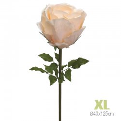 ΚΛΑΔΙ ΤΡΙΑΝΤΑΦΥΛΛΟ ΣΟΜΟΝ ΓΙΓΑΣ XL - Φ40x125cm 6/KI