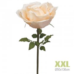 ΚΛΑΔΙ ΤΡΙΑΝΤΑΦΥΛΛΟ ΣΟΜΟΝ ΓΙΓΑΣ XXL - Φ50x136cm 6/K
