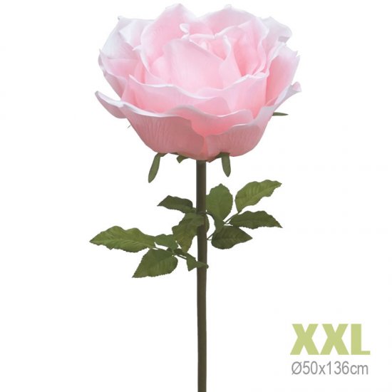 ΚΛΑΔΙ ΤΡΙΑΝΤΑΦΥΛΛΟ ΡΟΖ ΓΙΓΑΣ XXL - Φ50x136cm 6/KIB ΚΛΑΔΙ ΤΡΙΑΝΤΑΦΥΛΛΟ ΡΟΖ ΓΙΓΑΣ XXL - Φ50x136cm 6/KIB