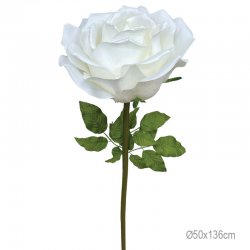 ΚΛΑΔΙ ΤΡΙΑΝΤΑΦΥΛΛΟ ΣΑΜΠΑΝΙ ΓΙΓΑΣ - Φ50x136cm 6/ΚΙΒ