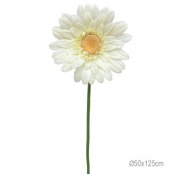 ΚΛΑΔΙ ΜΑΡΓΑΡΙΤΑ KITRINO ΓΙΓΑΣ - Φ50x125cm 24/ΚΙΒ