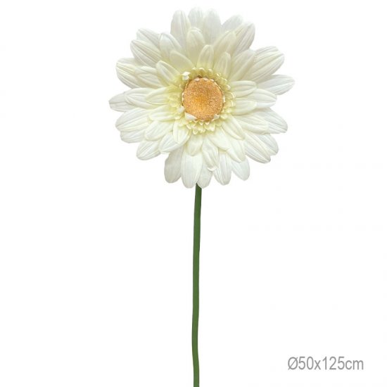 ΚΛΑΔΙ ΜΑΡΓΑΡΙΤΑ KITRINO ΓΙΓΑΣ - Φ50x125cm 24/ΚΙΒ
