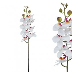 ΚΛΑΔΙ ΦΑΝΕΛΟΨ ΛΕΥΚΟ/ΡΟΖ Υ76cm.12/144KIB