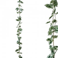 ΓΙΡΛΑΝΤΑ ΠΡΑΣΙΝΟ ΔΙΧΡΩΜΟ ΣΥΓΚΟΝΙΟ Χ3 - Υ270cm 1/13