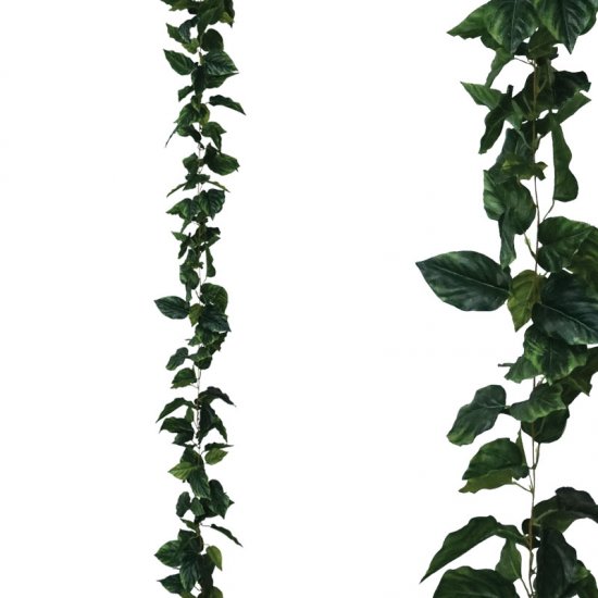 ΓΙΡΛΑΝΤΑ ΠΟΘΟΣ ΠΡΑΣΙΝΟ - Y270cm 1/96ΚΙΒ ΓΙΡΛΑΝΤΑ ΠΟΘΟΣ ΠΡΑΣΙΝΟ - Y270cm 1/96ΚΙΒ
