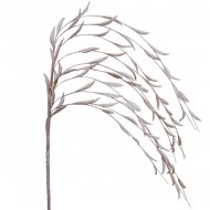 FOAM ΙΤΙΑ ΣΟΜΟΝ Y53cm. 36/360ΚΙΒ