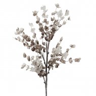 FOAM ΓΚΡΙ  ΕΥΚΑΛΥΠΤΟΣ Y108cm 6/60KIB