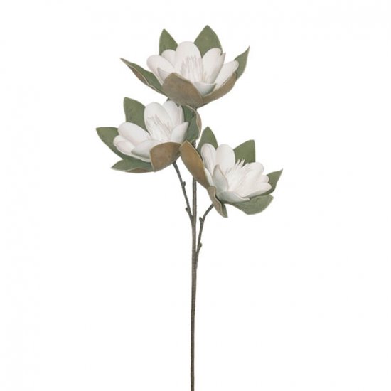 FOAM ΛΕΥΚΟ ΜΑΝΩΛΙΑ x3 ΑΝΘΟΣ 35x85cm 6/60KIB FOAM ΛΕΥΚΟ ΜΑΝΩΛΙΑ x3 ΑΝΘΟΣ 35x85cm 6/60KIB
