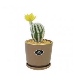 ΚΑΚΤΟΣ-ΚΕΦΑΛΟΚΗΡΙΟ ΣΕ ΚΑΣΠΩ ΜΕ ΠΙΑΤΟ Φ11x24cm 1/48