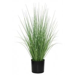 ONION GRASS TREE  NP1009_60 ΥΨΟΣ 60cm 