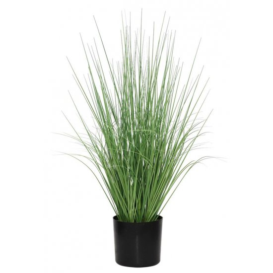 ONION GRASS TREE  NP1009_60 ΥΨΟΣ 60cm 