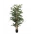 BAMBOO  NP824_153  ΥΨΟΣ 153cm 