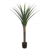 AGAVE TREE  NP802_160  ΥΨΟΣ 160cm 
